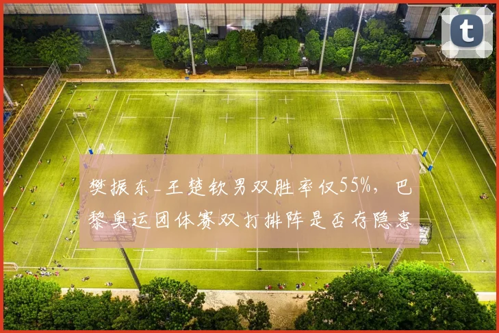 樊振东_王楚钦男双胜率仅55%，巴黎奥运团体赛双打排阵是否存隐患？